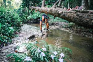 BIB: 
                            <button type="button" onclick="openModal(25430185)" class="btn btn-primary btn-sm float-right btn-popup" data-toggle="modal" data-target=".modal-high-quality">
                        <i class="fas fa-shopping-cart"></i> Add to Cart
                    </button>
                                            <button type="button" onclick="isThisMe(25430185, true)" class="btn btn-success btn-sm float-right btn-popup btn-isme hidden" data-toggle="tooltip" data-placement="bottom" title="นี่คือรูปของคุณใช่ไหม คลิกที่นี่เพื่อเอาเข้าอัลบั้ม">
                        <i class="fas fa-plus"></i> Add to album
                    </button>
                    <button type="button" onclick="isThisMe(25430185, false)" class="btn btn-warning btn-sm float-right btn-popup btn-isnotme hidden">
                        <i class="fas fa-ban"></i> Remove from album
                    </button>